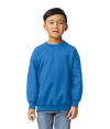 Heavy Blend Youth Crewneck ROYAL
