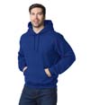Heavy Blend Hooded Sweatshirt FAN DEEP ROYAL