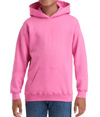 Heavy Blend Youth Hoodie AZALEA