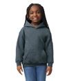 Heavy Blend Youth Hoodie DARK HEATHER
