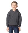 Heavy Blend Youth Hoodie FAN CHARCOAL HEATHER