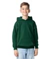 Heavy Blend Youth Hoodie FAN DARK GREEN