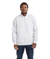 Adult 1/4 Zip Sweatshirt ASH