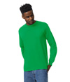 Ultra Cotton Adult Long Sleeve IRISH GREEN