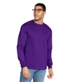Ultra Cotton Adult Long Sleeve PURPLE