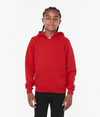 Youth Sponge Fleece Hoodie RED