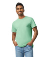 Heavy Cotton Adult T-Shirt MINT GREEN