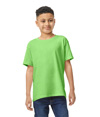 Heavy Cotton Youth T-Shirt NEON GREEN (50C/50P)