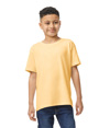 Heavy Cotton Youth T-Shirt YELLOW HAZE