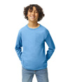 Heavy Cotton Youth Long Sleeve CAROLINA BLUE