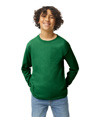 Heavy Cotton Youth Long Sleeve FOREST GREEN