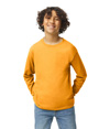 Heavy Cotton Youth Long Sleeve GOLD
