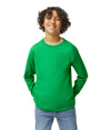 Heavy Cotton Youth Long Sleeve IRISH GREEN