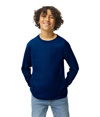 Heavy Cotton Youth Long Sleeve NAVY