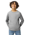 Heavy Cotton Youth Long Sleeve SPORT GREY (90C/10P)