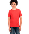 Youth Tri-Blend T-Shirt VINTAGE RED