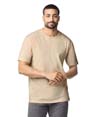 Softstyle Adult T-Shirt HEATHER OATMEAL (65C/35P)