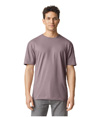 Softstyle Adult T-Shirt PARAGON