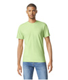 Softstyle Adult T-Shirt PISTACHIO