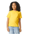 Softstyle CVC Youth T-Shirt DAISY MIST