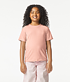 Softstyle CVC Youth T-Shirt DUSTY ROSE
