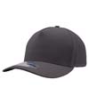 Perforated Performance Cap CHARCOAL
