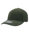 Perforated Performance Cap GREEN