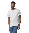 DryBlend Adult T-Shirt ASH GREY