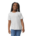 DryBlend Youth T-Shirt ASH GREY