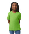 DryBlend Youth T-Shirt LIME