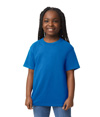 DryBlend Youth T-Shirt ROYAL