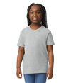 DryBlend Youth T-Shirt SPORT GREY