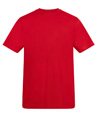 ATA001-FIRERED.jpg