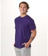Mens Crewneck Tee PURPLE