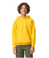 Softstyle Fleece Youth Hoodie DAISY