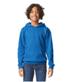 Softstyle Fleece Youth Hoodie ROYAL